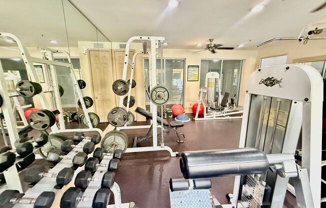 1 bed, 1 bath, $1,675, Unit Unit 378