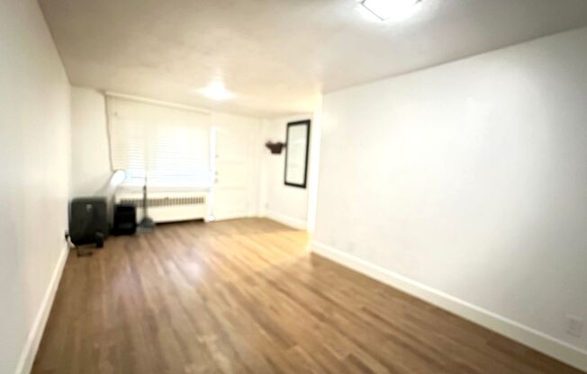 1 bed, 1.5 baths, $1,295, Unit 101