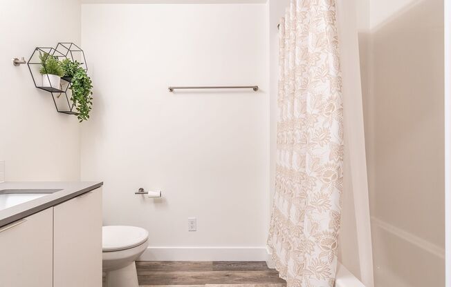 Studio, 1 bath, 405 sqft, $1,295, Unit B002