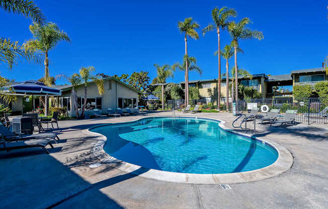 A swimming pool surrounded by palm trees and lounge chairs.
