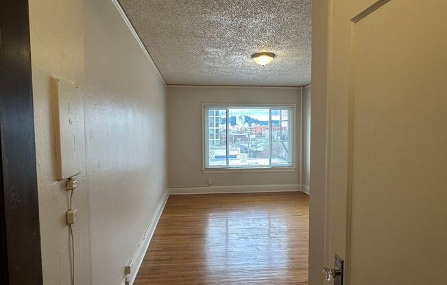 Studio, 1 bath, 330 sqft, $950, Unit 205