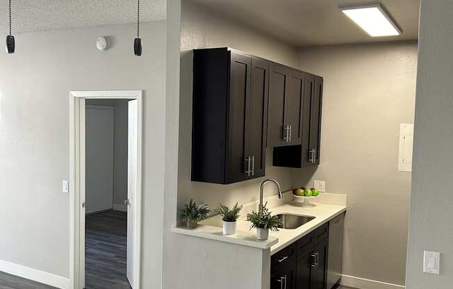 a kitchen with black cabinets and a white counter top