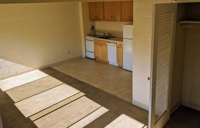 Studio, 1 bath, 302 sqft, $1,100, Unit 104