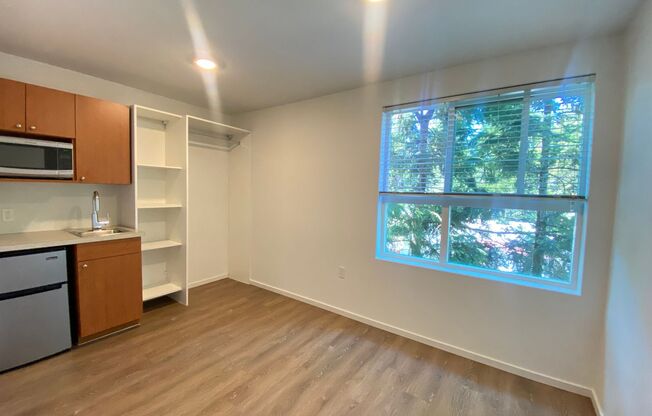 Studio, 1 bath, 175 sqft, $1,295, Unit 4403