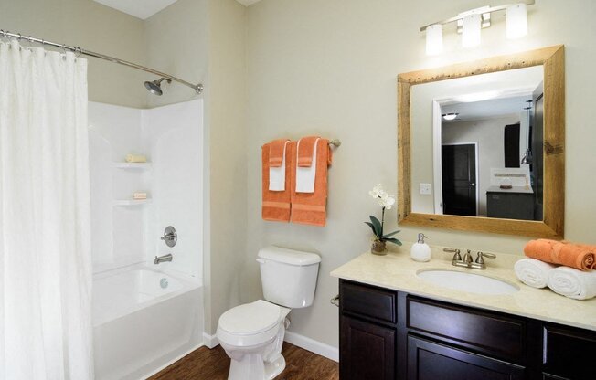 a bathroom with a toilet sink and a shower and a mirror