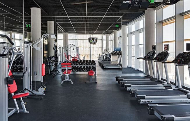 1 bed, 1 bath, $2,750, Unit #1411