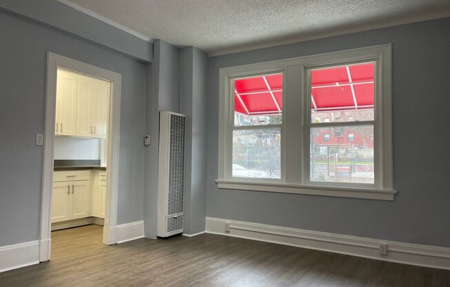 Studio, 1 bath, 315 sqft, $1,250, Unit 103