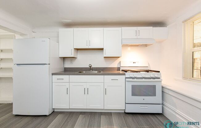 Russian Hill: Remodeled 1 Bedroom near Shopping, Bars, Restaurants and Parks