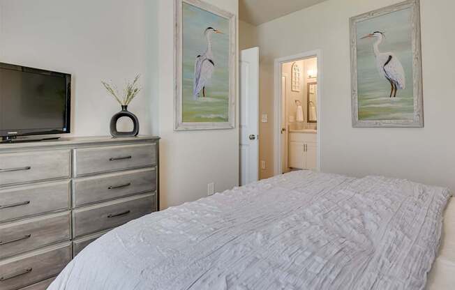 The Vista Apartments in Warrenville, South Carolina