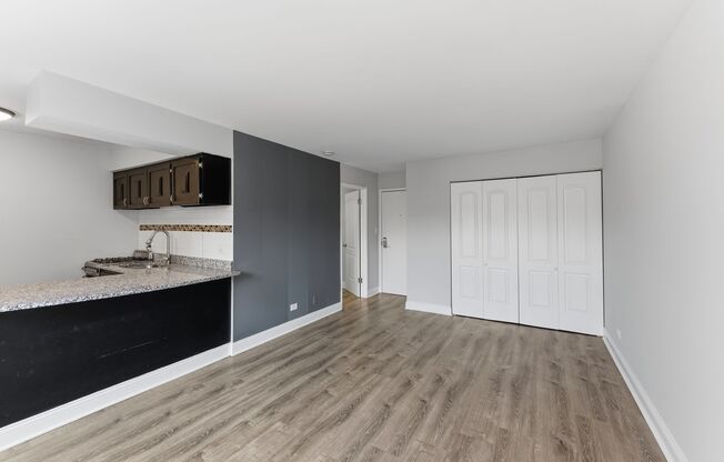 Studio, 1 bath, 336 sqft, $1,550, Unit 506