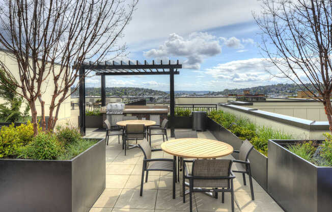 Rooftop with Grilling Area and City Views