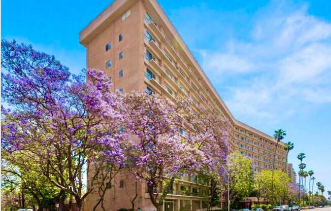 1 bed, 1.8 baths, 885 sqft, $3,795, Unit 211