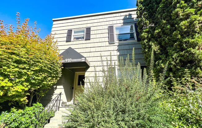 1 bed, 1 bath, 500 sqft, $1,250, Unit A3