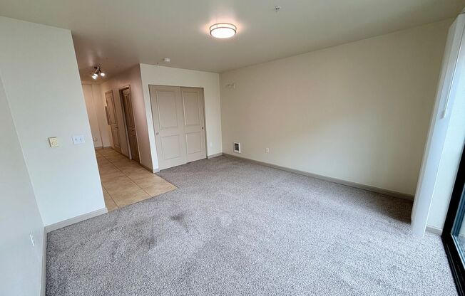 Studio, 1 bath, 430 sqft, $1,550, Unit Unit 402