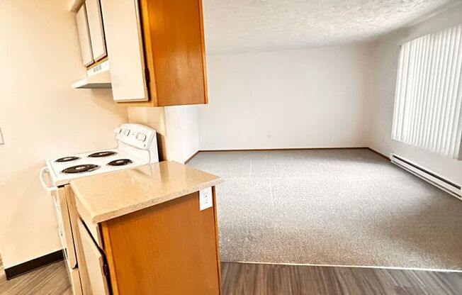 1 bed, 1 bath, 660 sqft, $1,250, Unit W - 043