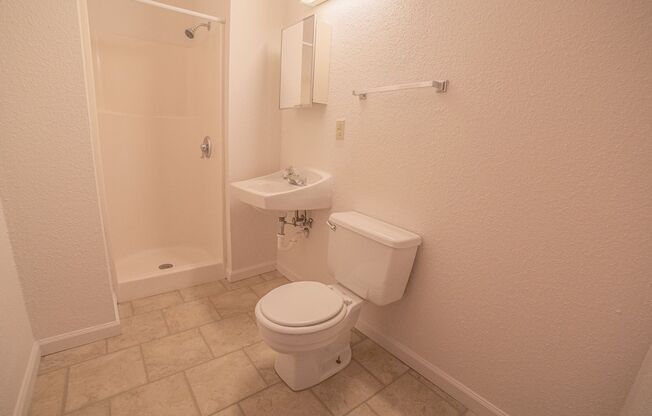 1 bed, 1 bath, 270 sqft, $540, Unit 315