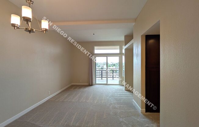 Desirable North Park Condo with Amazing Views and Amenities!