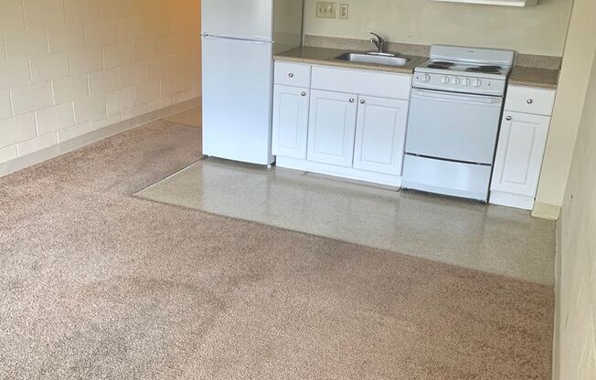 Studio, 1 bath, 302 sqft, $1,100, Unit 409
