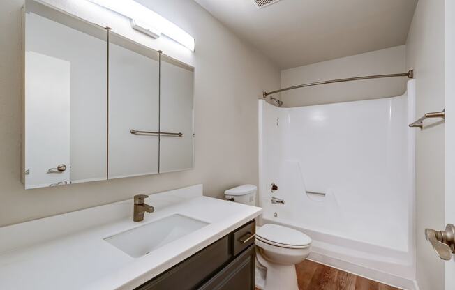 a bathroom with a sink and a toilet and a shower