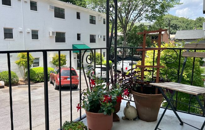Renovated 1BR * Piedmont Park! ~ Steal of a Deal!