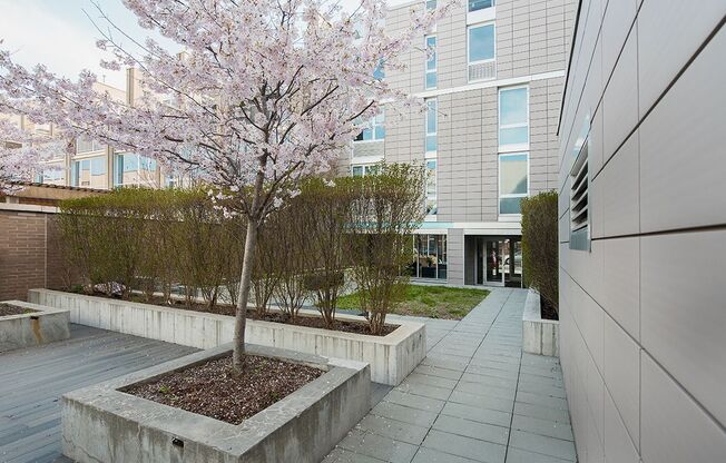 1 bed, 1 bath, $5,500, Unit 129502