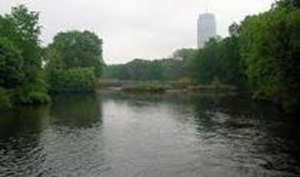 2 beds, 1 bath, 770 sqft, $3,695, Unit 22