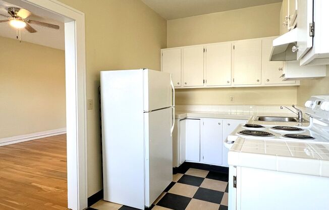 Studio, 1 bath, 525 sqft, $1,245, Unit 117