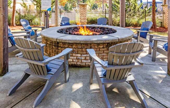 Huge Outdoor Brick Fireplace at Carolina Point Apartments, Greenville, 29607