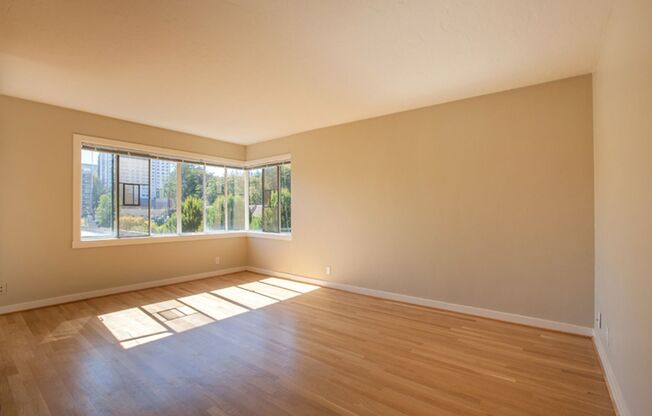 1 bed, 1 bath, 550 sqft, $1,475, Unit 503