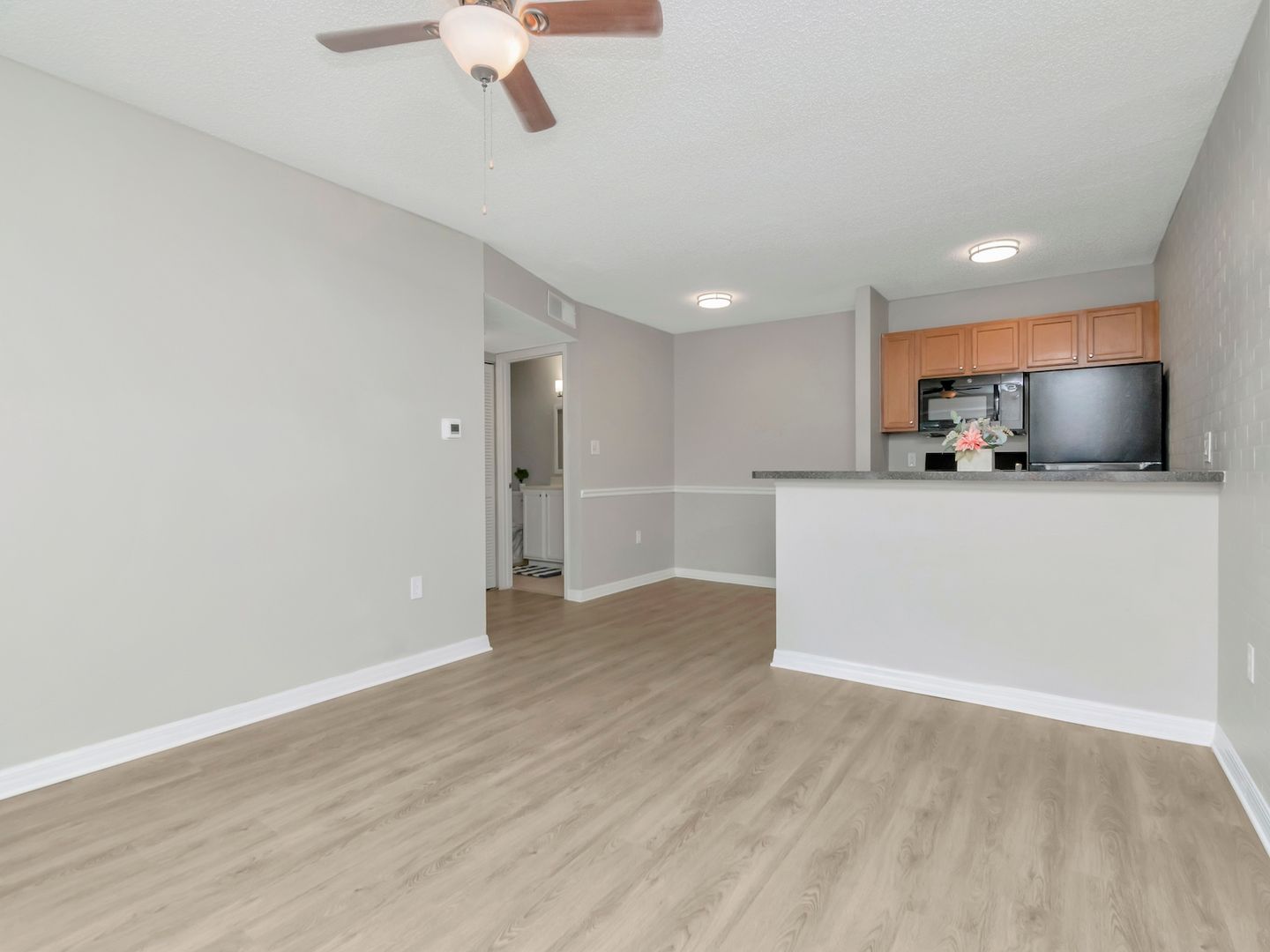 Remodeled Ground Floor 1 Bedroom 1 Bath For Lease in Brandon