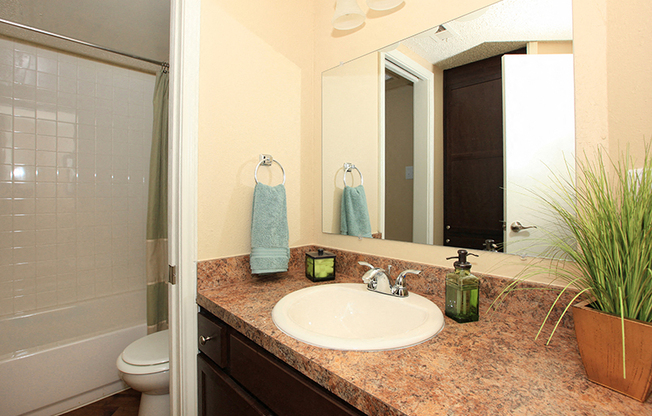 bathroom l Georgetown Park Apartments for rent in TX