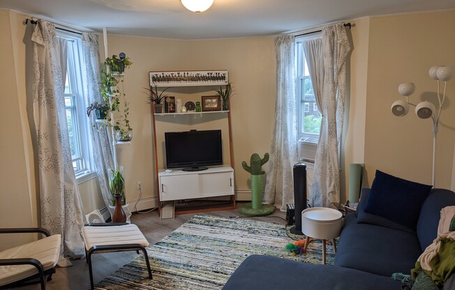 288 Prospect St.