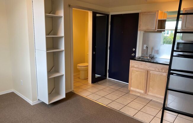 Studio, 1 bath, 194 sqft, $1,120, Unit 503