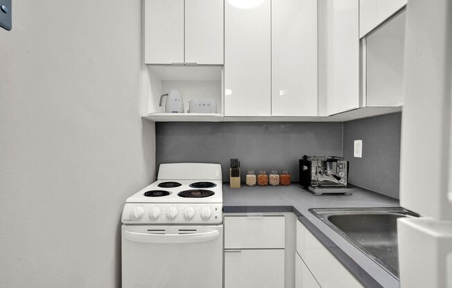 Gallery Photo 5