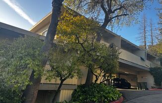 Lincoln Ave Apartments -Downtown Walnut Creek