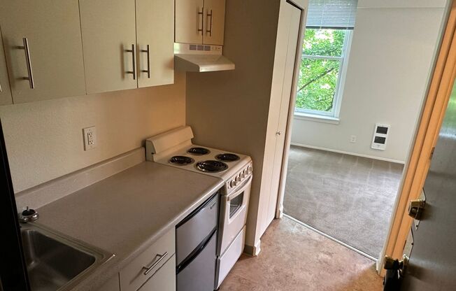 Studio, 1 bath, 270 sqft, $750, Unit 213