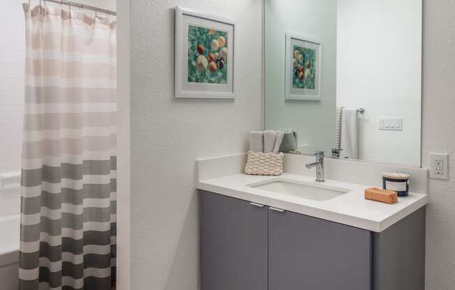 a bathroom with a sink and a mirror and a shower