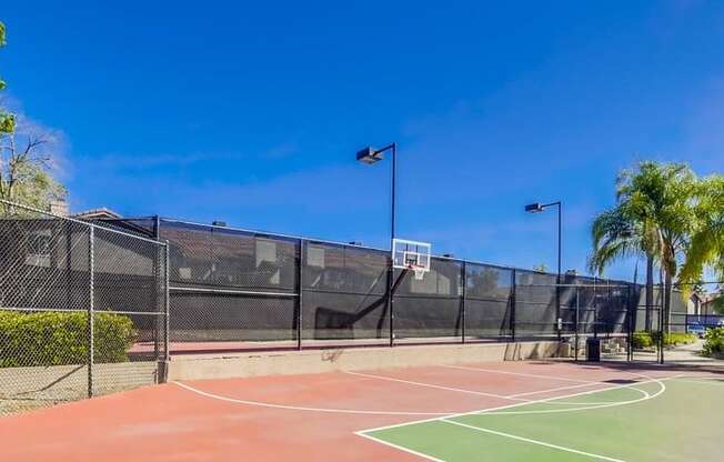 Temecula Apartments for Rent - Basketball Court