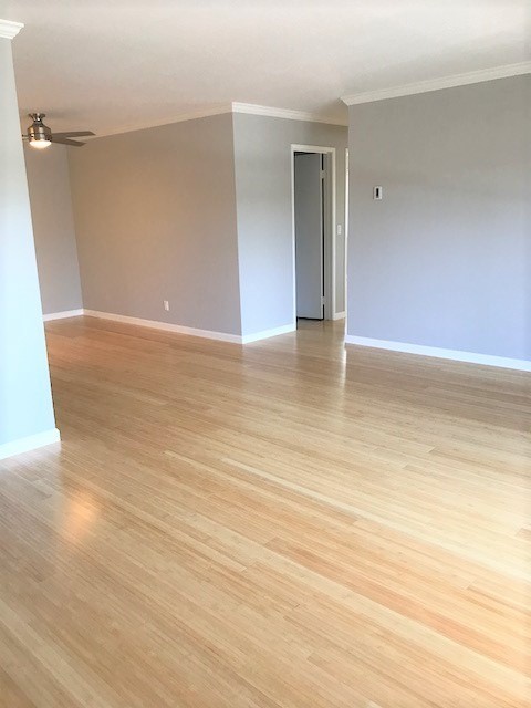 2 beds, 1 bath, 925 sqft, $3,595, Unit 302