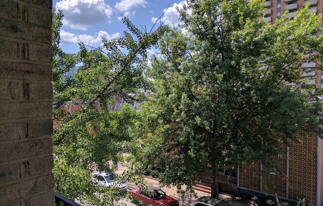 1 bed, 1 bath, $1,195, Unit Apt. 07