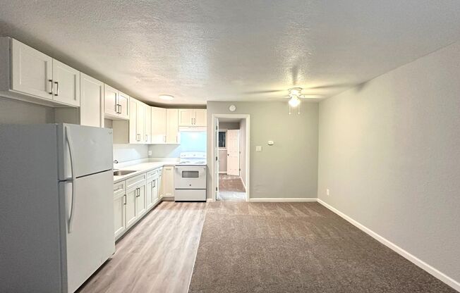 1 bed, 1 bath, 480 sqft, $1,095, Unit 1020-C