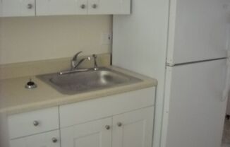 Studio, 1 bath, 550 sqft, $1,350, Unit 205    (22)