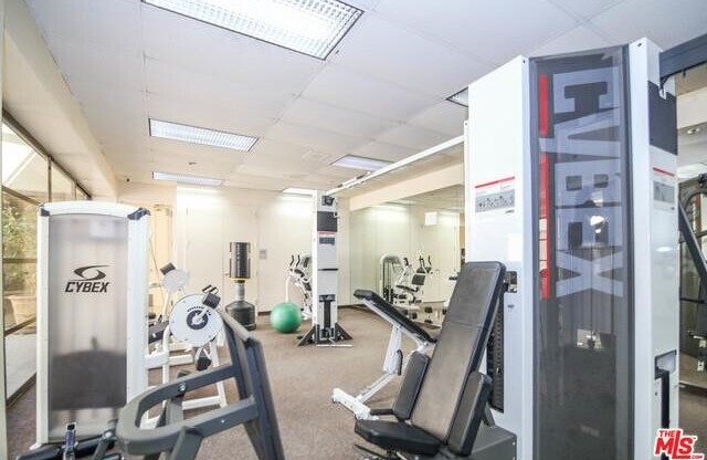 2 beds, 2 baths, 1,193 sqft, $3,250, Unit 1011