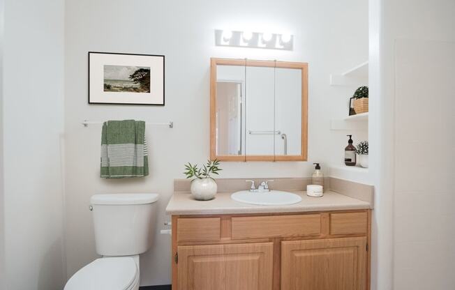 a bathroom with a sink and a mirror and a toilet