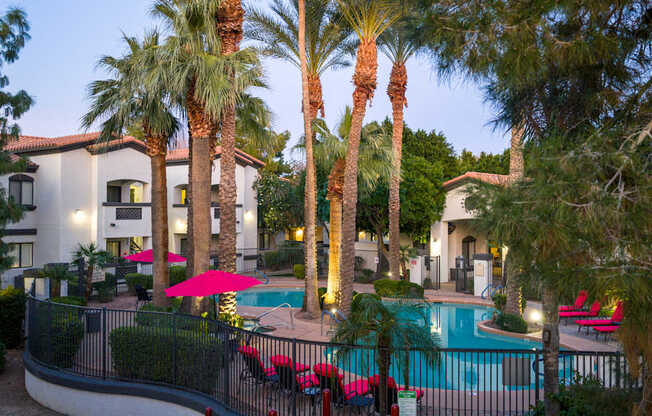 A pool surrounded by palm trees and red chairs.