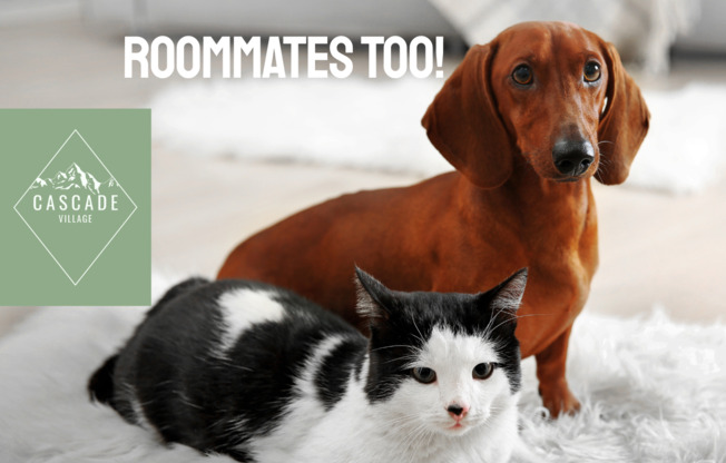 1 bed, 1 bath, 566 sqft, $950, Unit 05