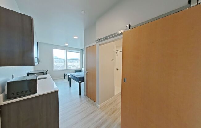 Studio, 1 bath, 277 sqft, $975, Unit 520