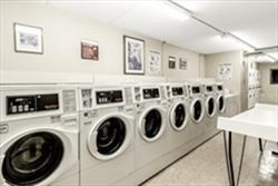 2 beds, 1 bath, 810 sqft, $3,000, Unit T35