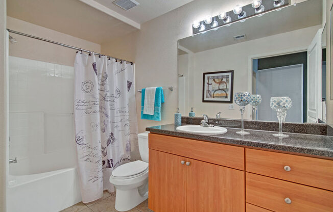 Rio Paradiso Apartment Homes - bathroom