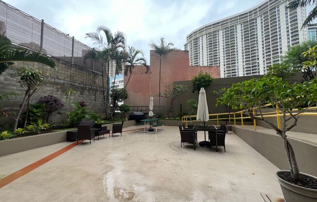 Studio, 1 bath, 317 sqft, $1,800, Unit 909